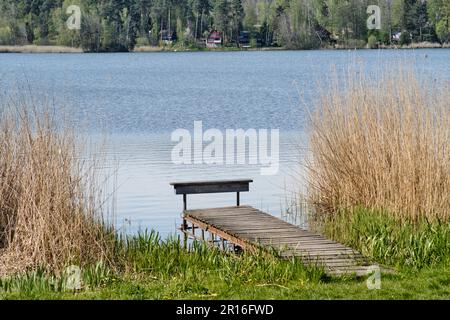 Un simple quai en bois sur une rive de lac ou d'étang à Hoany, en République tchèque. Herbe et forêt et chalets de vacances. Atmosphère de vacances apaisante. Banque D'Images