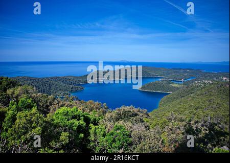 Vue panoramique sur grand et petit lac sur l'île de Mljet en Croatie Banque D'Images