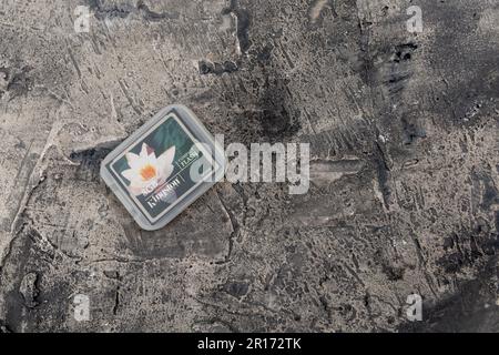 Détaillant britannique Kingston Technology 8Gb carte mémoire CompactFlash largement utilisée dans les appareils photo numériques Banque D'Images