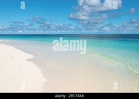 Belle plage de sable blanc tropical, Seychelles. Banque D'Images