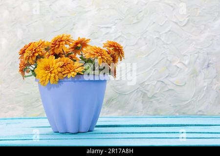 Chrysanthème orange en pot bleu sur bois. Jardinage, vacances, anniversaire, femmes, fête des mères. Copier l'espace Banque D'Images