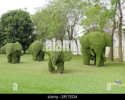 Thaïlande, Ayuthaya (anciennement la capitale royale 1350-1767): Éléphant 'topiaire' dans les jardins du Palais de Bang Pa-in. Banque D'Images