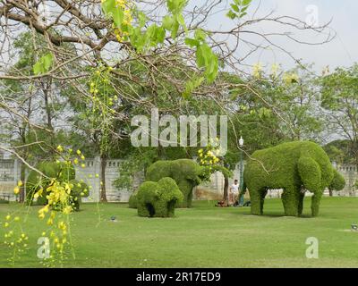 Thaïlande, Ayuthaya (anciennement la capitale royale 1350-1767): Éléphant 'topiaire' dans les jardins du Palais de Bang Pa-in. Banque D'Images