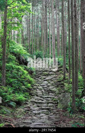 Chaussée en pierre d'Umagoetoge à Kumano Kodo Iseji Banque D'Images