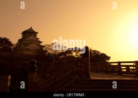 Château d'Osaka et pont Gokurakubashi Banque D'Images