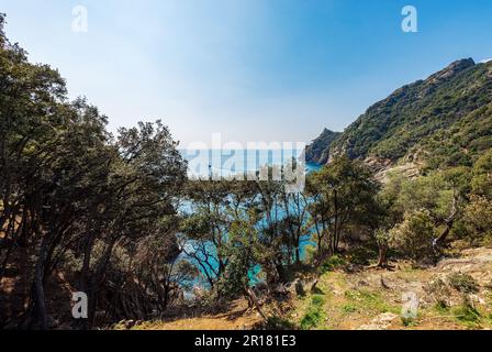 Vue aérienne de la baie de San Fruttuoso, entre Camogli et le village de Portofino, station touristique dans la province de Gênes (Gênes), Ligurie, Italie, Europe. Banque D'Images