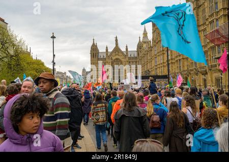 LONDRES - 22 avril 2023 : admirez la scène puissante pendant que les manifestants de la rébellion d'extinction brandisquent des drapeaux et marchent vers la place du Parlement avec l'emblématique Banque D'Images