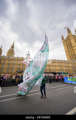 LONDRES - 22 avril 2023: Témoin de l'impact alors qu'un manifestant XR fait passer un énorme drapeau devant le Parlement lors du Londres XR mars, symbo Banque D'Images