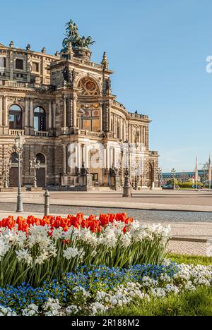 Le printemps fleurit devant l'Opéra Semper dans la vieille ville de Dresde, Saxe, Allemagne Banque D'Images