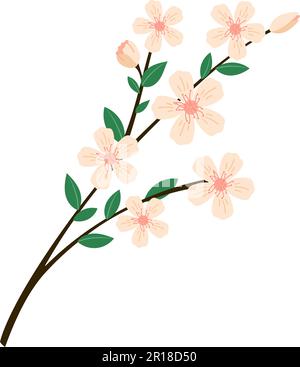 Illustration du vecteur de ressort de branche d'arbre en fleurs. Feuilles vertes et fleurs roses brindilles de style plat saisonnier dessin isolé Illustration de Vecteur