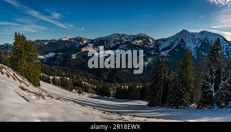 Fantastique randonnée d'hiver à Denneberg sur la Nagelfluhkette de Tahlkirchdorf près d'Oberstaufen dans les belles Alpes d'Allgau Banque D'Images