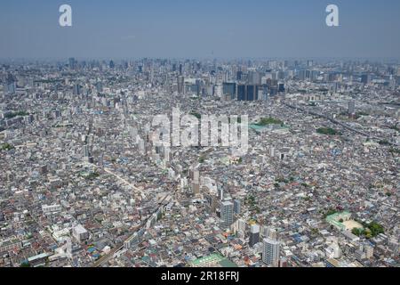 Vue aérienne de la station de Nakanobu depuis le côté sud vers Shinagawa, le sous-centre et la tour des arbres Banque D'Images