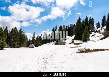 Belle randonnée de montagne de printemps d'Oberjoch au Spieser et au Hirschberg dans les Alpes d'Allgau Banque D'Images