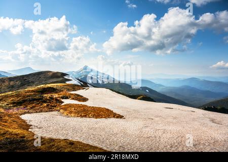 Montagnes d'été avec ciel bleu. Vue sur les collines herbeuses avec des chaussettes orange et des montagnes enneigées en arrière-plan. Scène de printemps spectaculaire. Photographie de paysage Banque D'Images