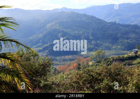 Le paysage près de Paraiso autour de la vallée d'Orosi près de la ville de Cartago, Costa Rica Banque D'Images