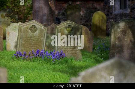 Pierres tombales et cloches dans le cimetière de l'église All Saints, dans le village d'Easington, East Yorkshire, Angleterre Banque D'Images