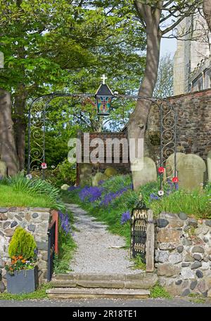 Sentier, bordé de cloches, menant à l'église All Saints, dans le village d'Easington, East Yorkshire, Angleterre Banque D'Images