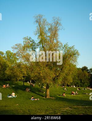 Personnes assises dans l'herbe lors d'une soirée de printemps, Prospect Park, Brooklyn, New York Banque D'Images