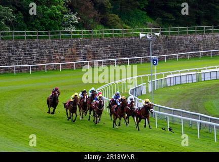 Les coureurs et les cavaliers en action lors de leur compétition dans le CAA Stellar Earl Grosvenor Handicap lors du festival de mai Boothes Tote Chester Cup Day à l'hippodrome de Chester. Date de la photo: Vendredi 12 mai 2023. Banque D'Images