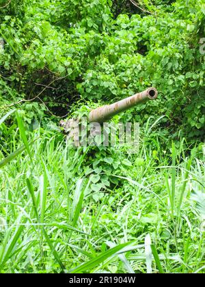 Warjunk à Bougainville Banque D'Images