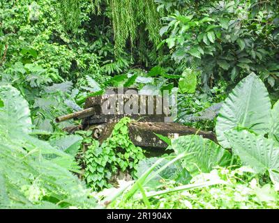 Warjunk à Bougainville Banque D'Images