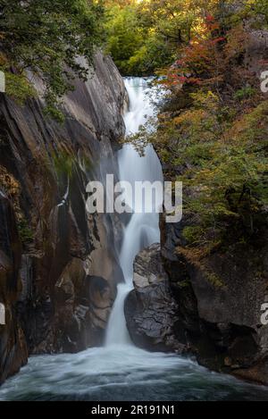 Cascade de Senga ( Sengataki ), Une chute d'eau dans la gorge de Mitake Shosenkyo Banque D'Images