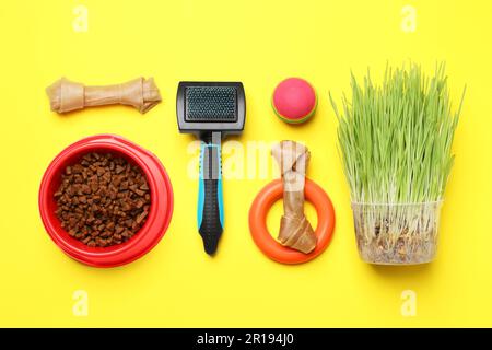 Jouets pour animaux de compagnie, nourriture pour chiens et wheatgrass sur fond jaune, plat Banque D'Images