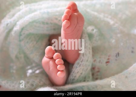 Bébé nouveau-né mignon recouvert de tissu écossais turquoise sur le lit, gros plan des jambes Banque D'Images