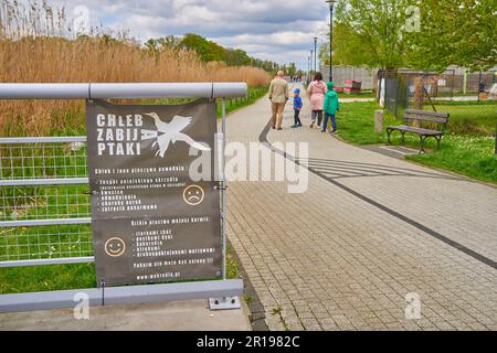 Une famille heureuse se promenant sur un chemin dans un parc verdoyant par une journée ensoleillée Banque D'Images