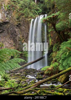 Un paysage naturel époustouflant avec une cascade majestueuse descendant en cascade sur une falaise rocheuse entourée d'une forêt verdoyante Banque D'Images