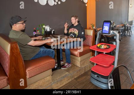 Troy, Michigan - Un robot Richtec Robotics Matradee livre de la nourriture aux convives du Pho-Shi, un restaurant fusion asiatique. Banque D'Images