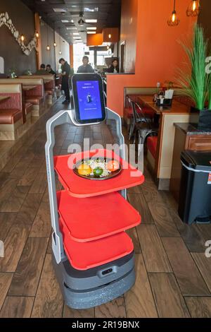 Troy, Michigan - Un robot Richtec Robotics Matradee livre de la nourriture aux convives du Pho-Shi, un restaurant fusion asiatique. Banque D'Images