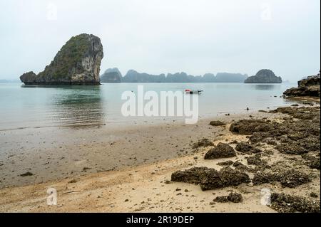 Une scène tranquille d'une plage et d'un bateau en mer parmi les îles de calcaire typiques de Bai Tu long Bay, Halong Bay, Vietnam. Banque D'Images