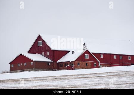 Une scène hivernale idyllique d'une grange rouge traditionnelle située sur une ferme rurale enneigée près d'une route à Toten, en Norvège Banque D'Images