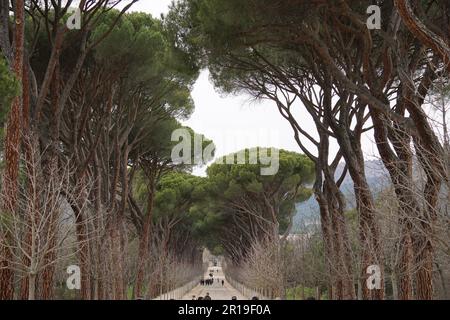 Vue incroyable de la route entourée d'arbres à Elescorial, Espagne Banque D'Images