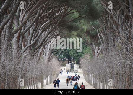 Vue incroyable de la route entourée d'arbres à Elescorial, Espagne Banque D'Images