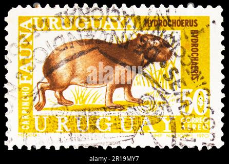 MOSCOU, RUSSIE - 08 AVRIL 2023: Timbre-poste imprimé en Uruguay montre le Grand Capybara (Hydrochoerus hydrochaeris), faune uruguayenne, vers 197 Banque D'Images