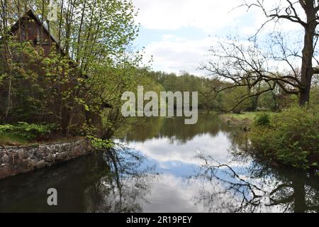 Aufgestaut,Ilmenau vor der Wassermühle Medingen, Niedersachsen, Deutschland, Bad Bevensen Banque D'Images