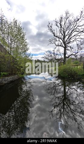 Aufgestaut,Ilmenau vor der Wassermühle Medingen, Niedersachsen, Deutschland, Bad Bevensen Banque D'Images