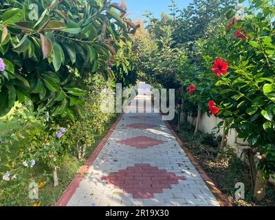 Sentier de randonnée, chemin, tunnel de magnifiques plantes naturelles, buissons et fleurs dans un hôtel en vacances dans un pays tropical chaud paradis est pays sud Banque D'Images