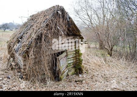 Un vieux, délabré peu de bois abandonné ruiné ruiné maison cassée de bois, de rondins et de bâtons surcultivés avec des mousses et des plantes dans le désert, moi Banque D'Images