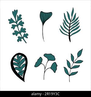 Ensemble de branches dessinées à la main en style gribouillage.éléments décoratifs. Illustration de Vecteur