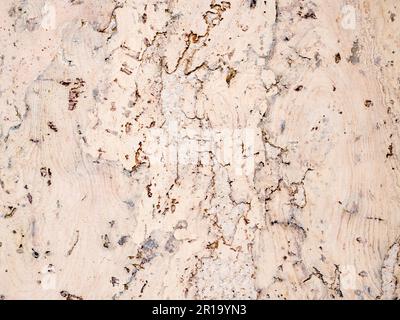 Motif de texture de liège de rugosité abstraite haute résolution. Panneau décoratif en bois naturel, fond pastel. Fond en bois beige craqué, motif grain Banque D'Images