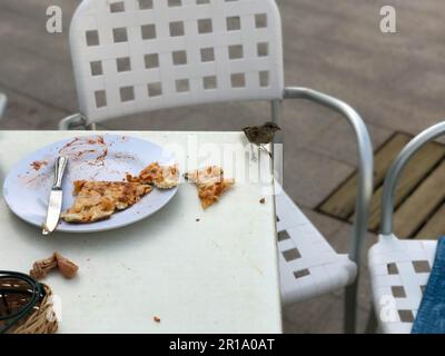 Un petit oiseau affamé d'un moineau mange de la nourriture d'une assiette de visiteur dans un café extérieur dans la rue. Banque D'Images