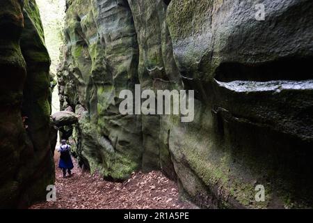 La région de Mullerthal au Luxembourg est également connue sous le nom de petite Suisse et est un endroit idéal pour la randonnée et l'escalade Banque D'Images