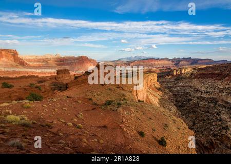 Lumière du coucher du soleil sur les formations du parc national Capitol Reef, vue depuis Sunset point, au bord du Canyon de Sulpur Creek. Banque D'Images