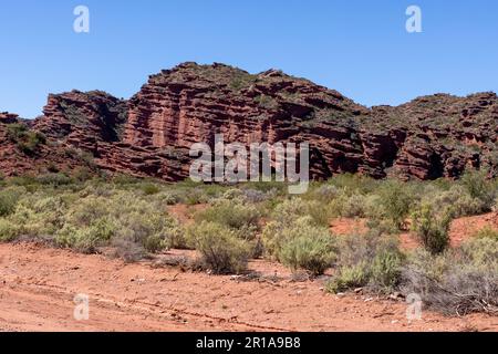 Magnifique paysage rougeâtre du parc provincial Ischigualasto dans la province de San Juan, Argentine - Voyage en Amérique du Sud Banque D'Images