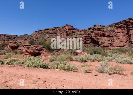 Magnifique paysage rougeâtre du parc provincial Ischigualasto dans la province de San Juan, Argentine - Voyage en Amérique du Sud Banque D'Images