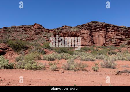 Magnifique paysage rougeâtre du parc provincial Ischigualasto dans la province de San Juan, Argentine - Voyage en Amérique du Sud Banque D'Images