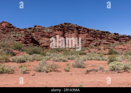 Magnifique paysage rougeâtre du parc provincial Ischigualasto dans la province de San Juan, Argentine - Voyage en Amérique du Sud Banque D'Images